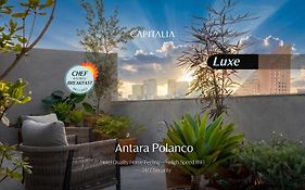 Capitalia Antara Polanco